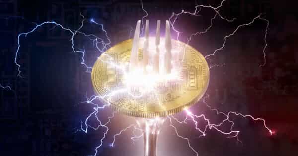 BCH Price Prediction: Momentum Exhaustion at $255 Sets Up a Critical $236 Support Test